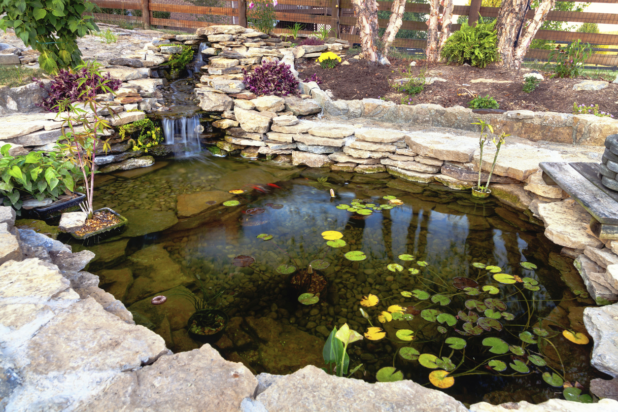 Reno Pond Maintenance